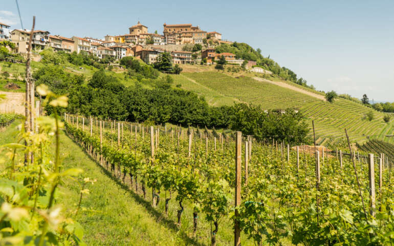 Le Piémont, la région du Barolo