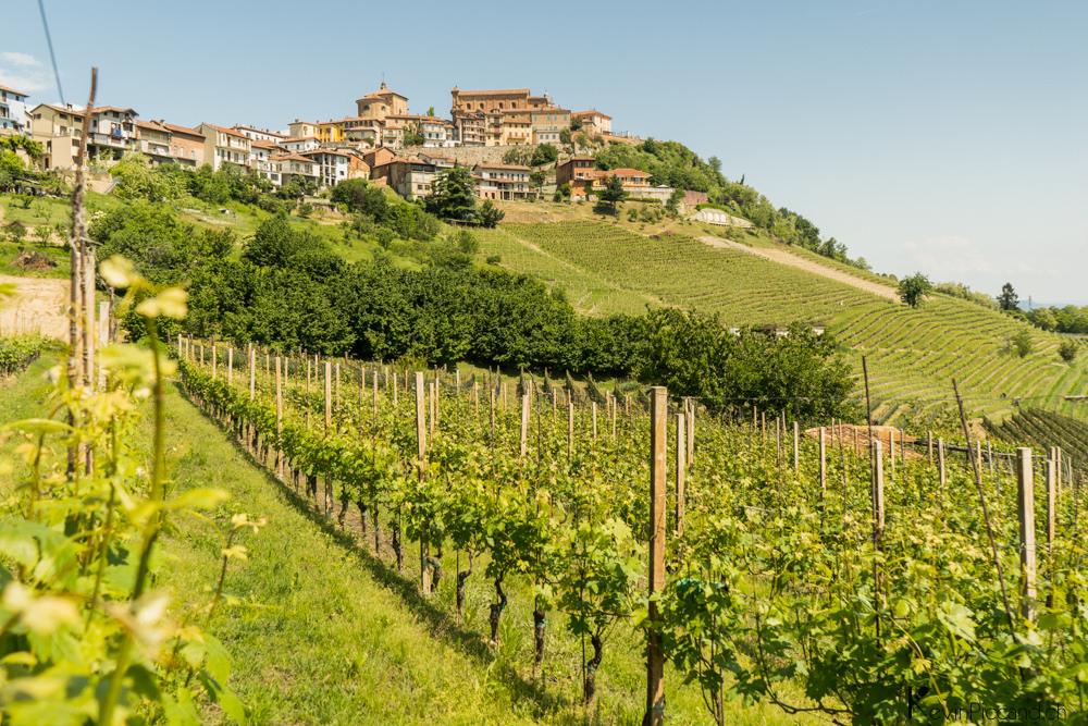 Le Piémont, la région du Barolo